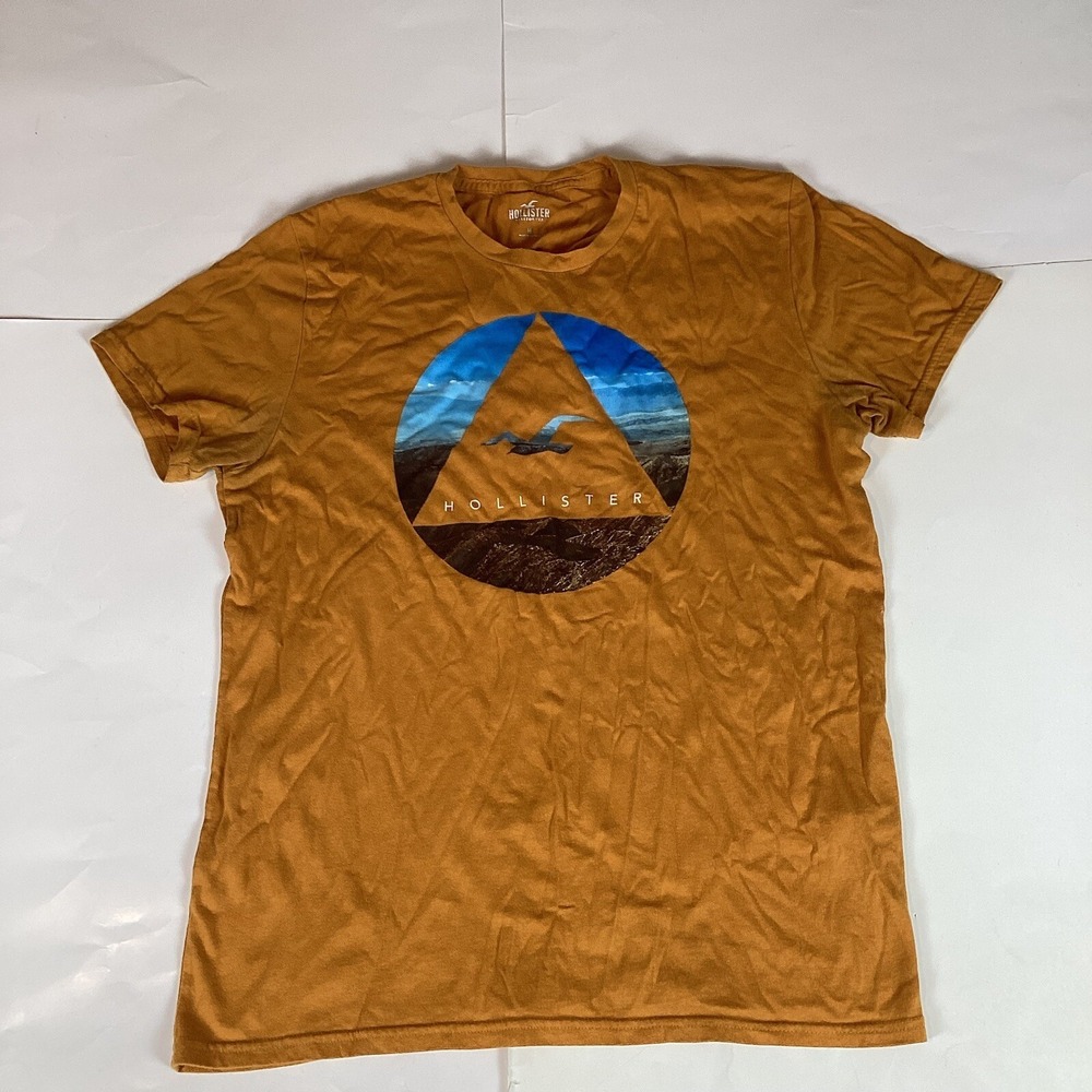 Hollister Mens T Shirt Sz M Crew Neck Short Sleeve Graphic Print Pullover
